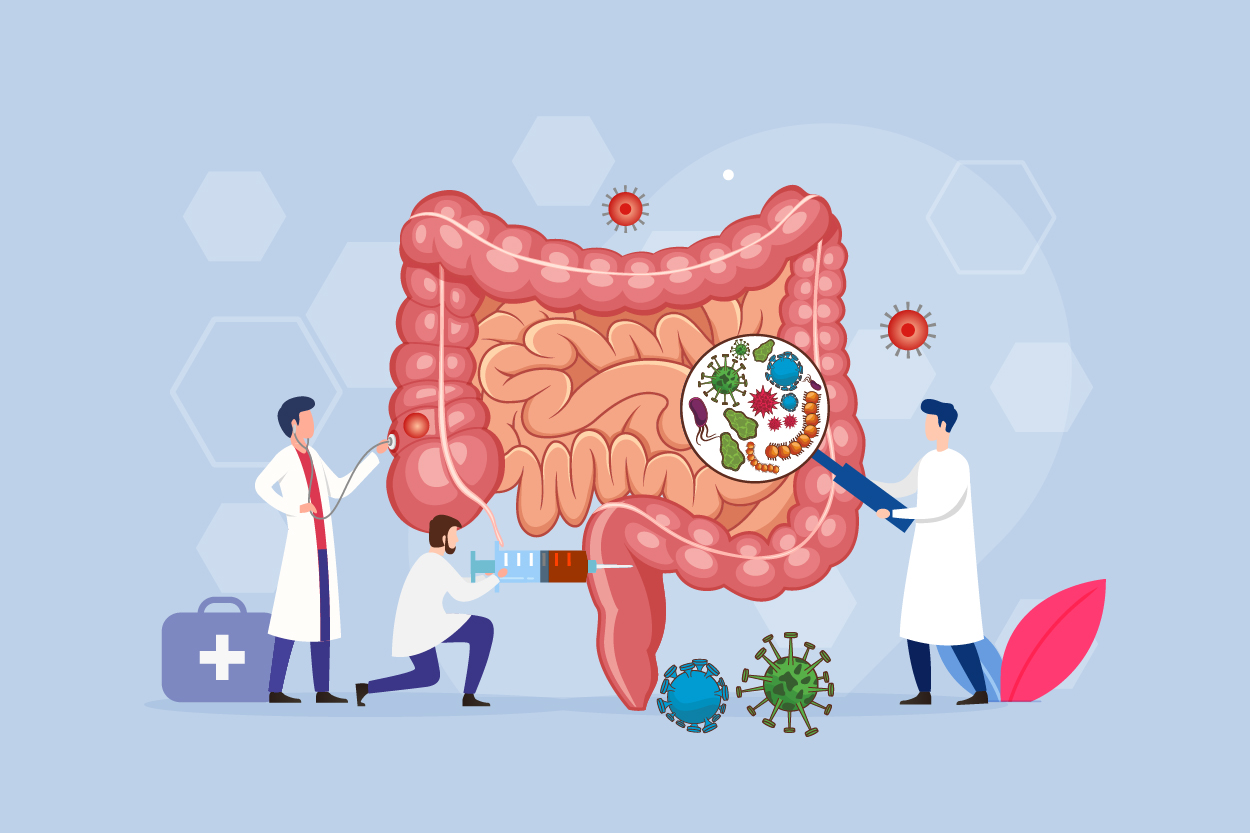 diagrama de intestino